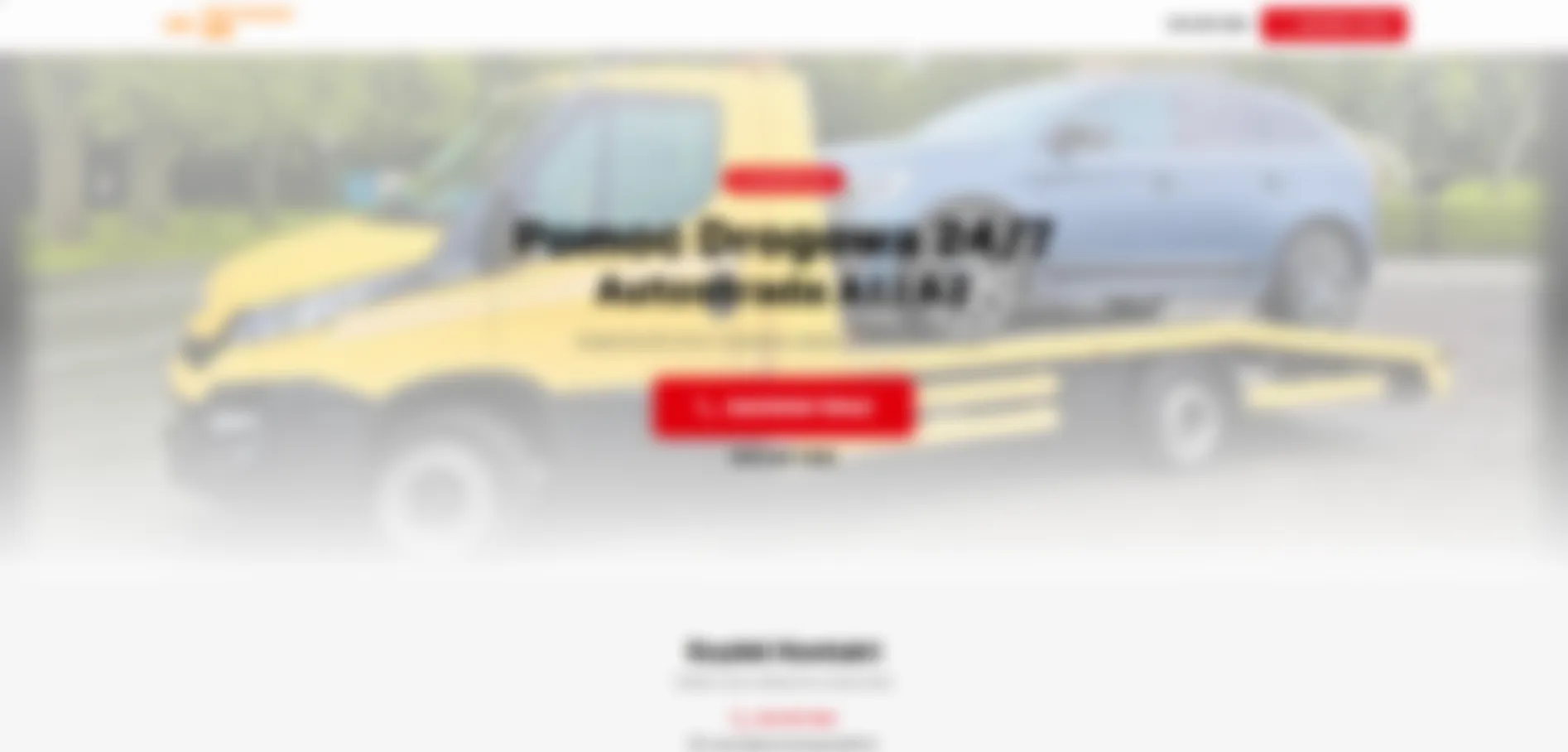 Podgląd realizacji Mango Lead Studio